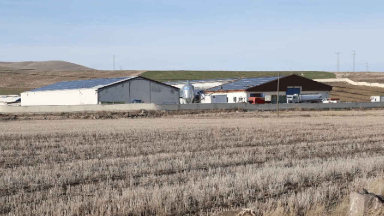 Toplam maliyeti dudak uçuklatıyor! Günlük üretimi 1.5 ton