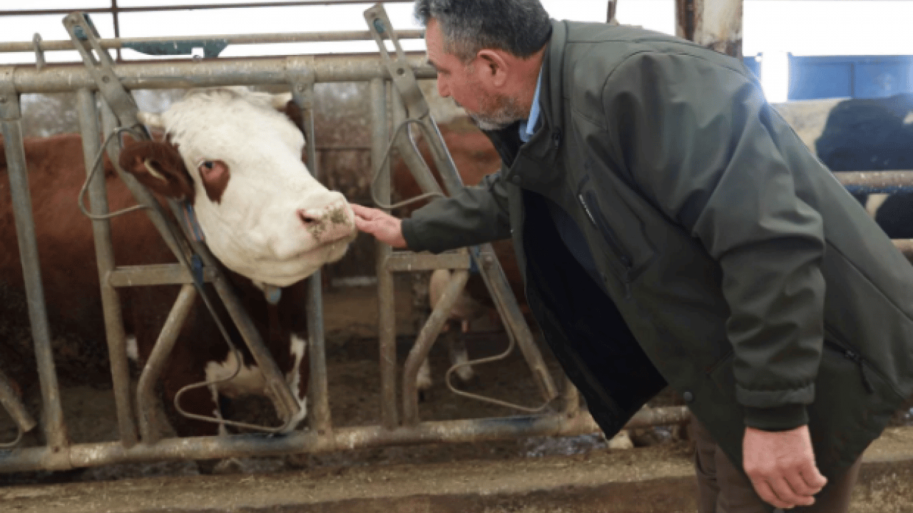 Foto - Toplam maliyeti dudak uçuklatıyor! Günlük üretimi 1.5 ton