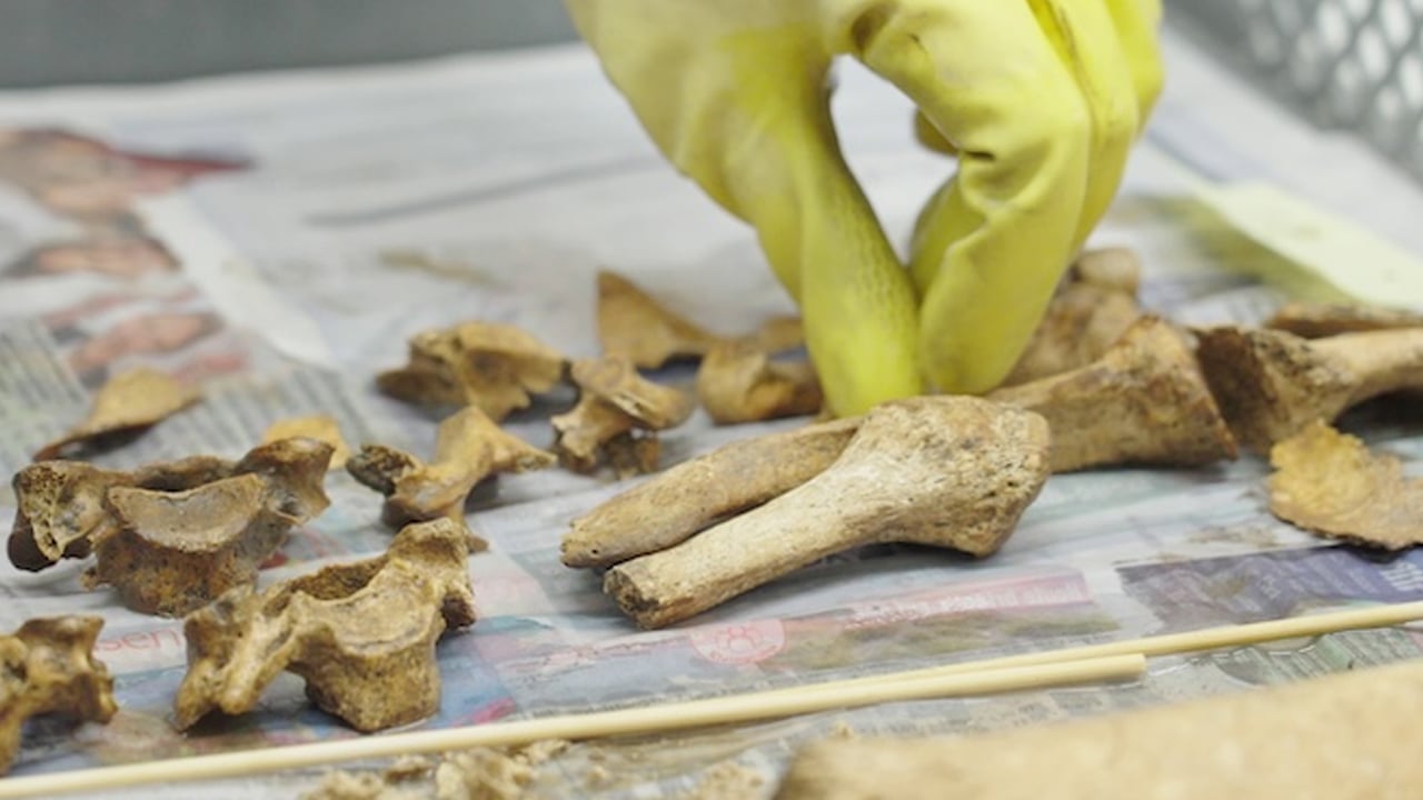 Toplu mezar görüntüleri bulundu: Askerler futbol sahası altında... Görüntüler yüzlerce Roma askerine ait