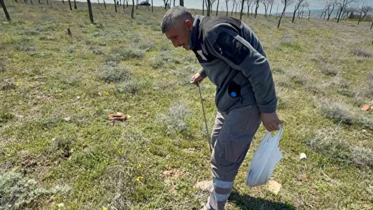 Foto - Toprağın altından ‘servet’ çıkıyor: Kilosu 2 bin TL’ye alıcı buluyor