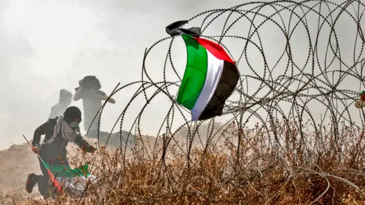 Foto - Toprak gaspından sonra ‘gelecek gaspı’! İsrail, Filistinli nesilleri hedef alıyor