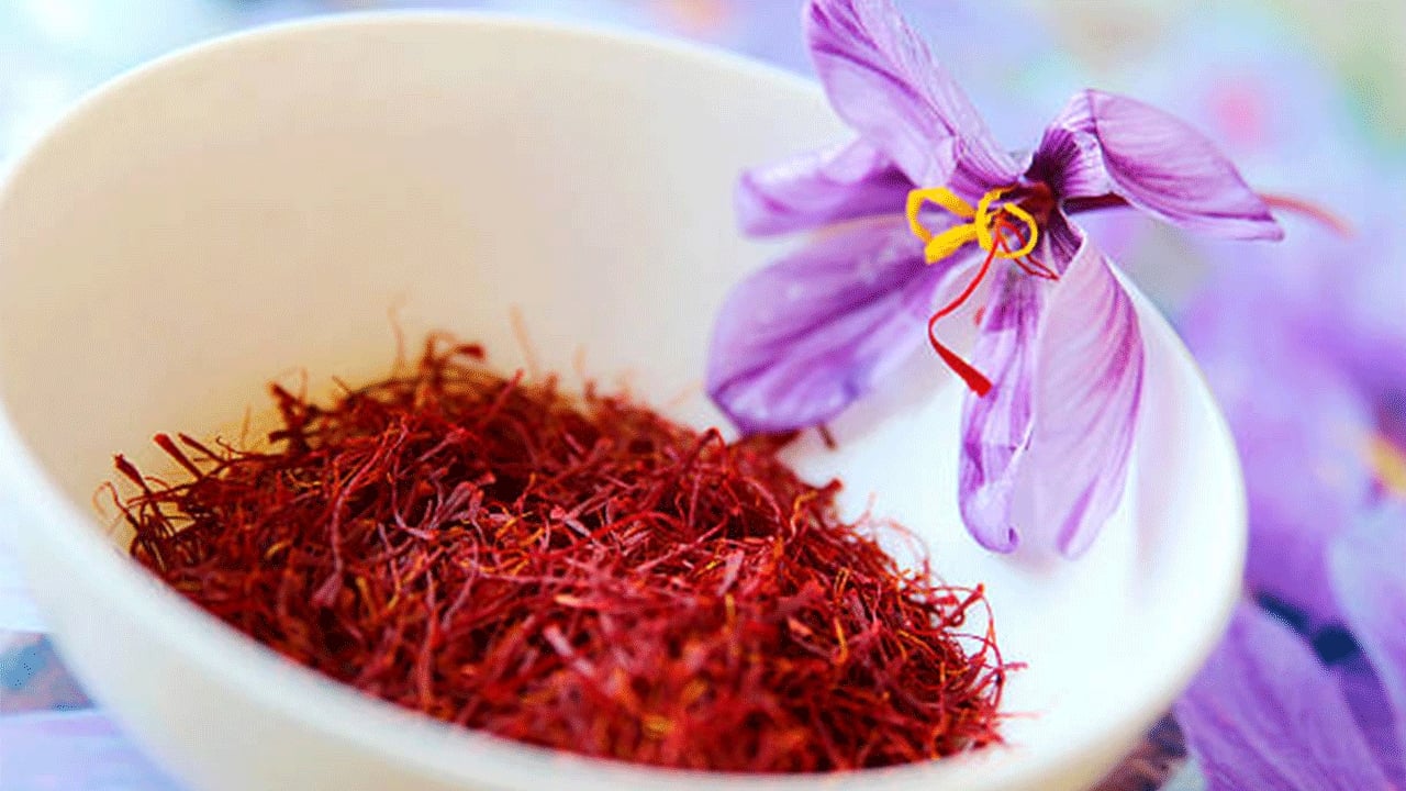 Foto - Topraktan servet fışkırdı! Demirci’de ilk defa yetiştirildi: 1 gramı altın değerinde