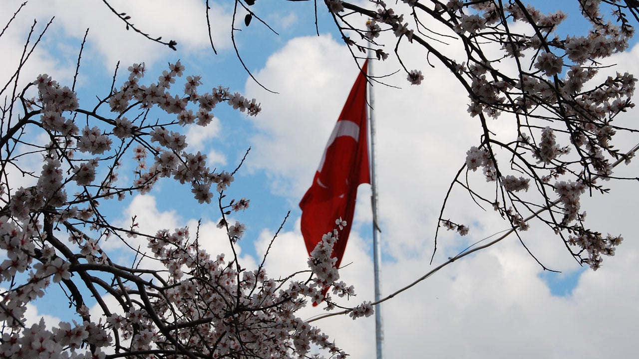 Foto - Toroslar’da bahar müjdesi! Badem ağaçları çiçek açtı