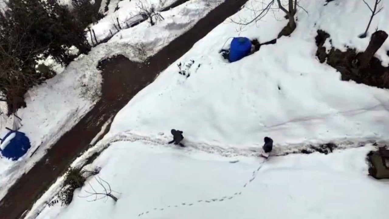 Foto - Trabzon'da karlar altında şap seferberliği