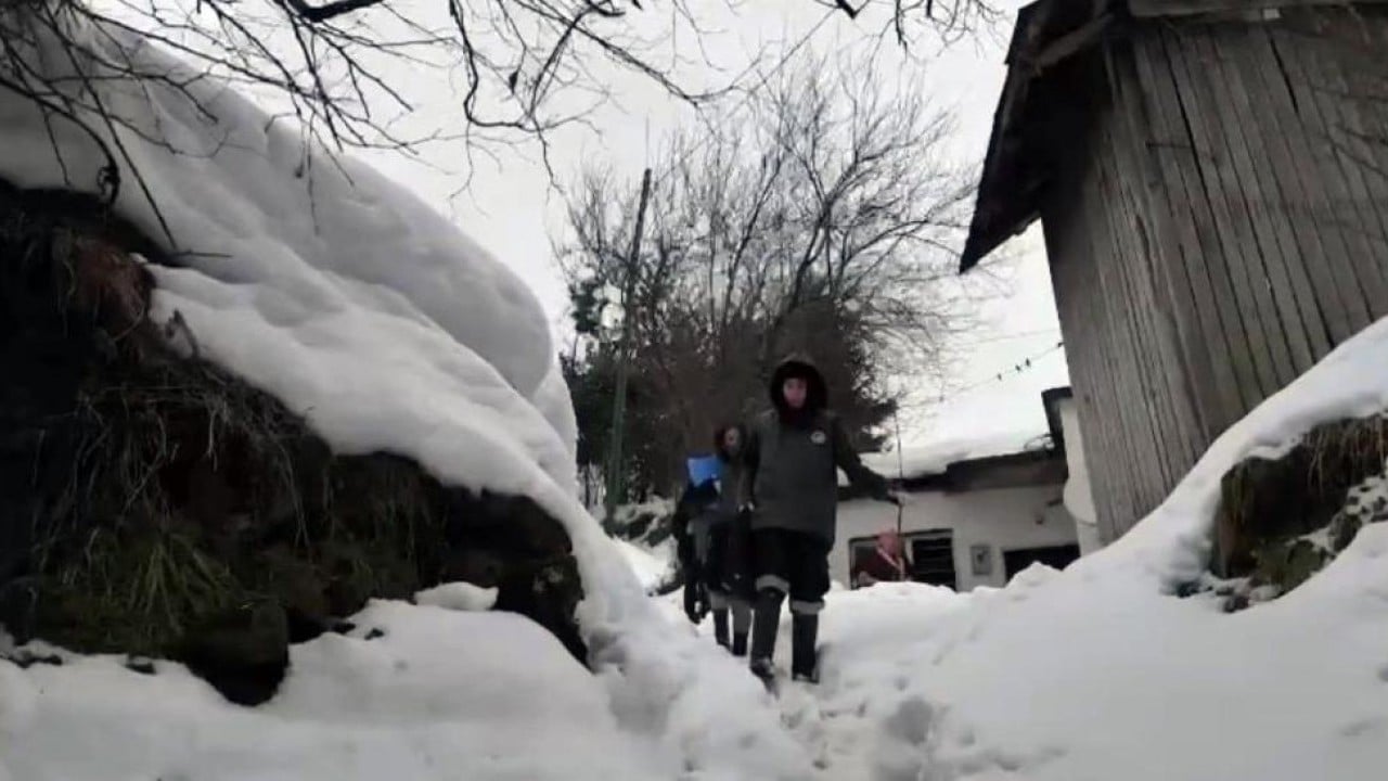 Foto - Trabzon'da karlar altında şap seferberliği