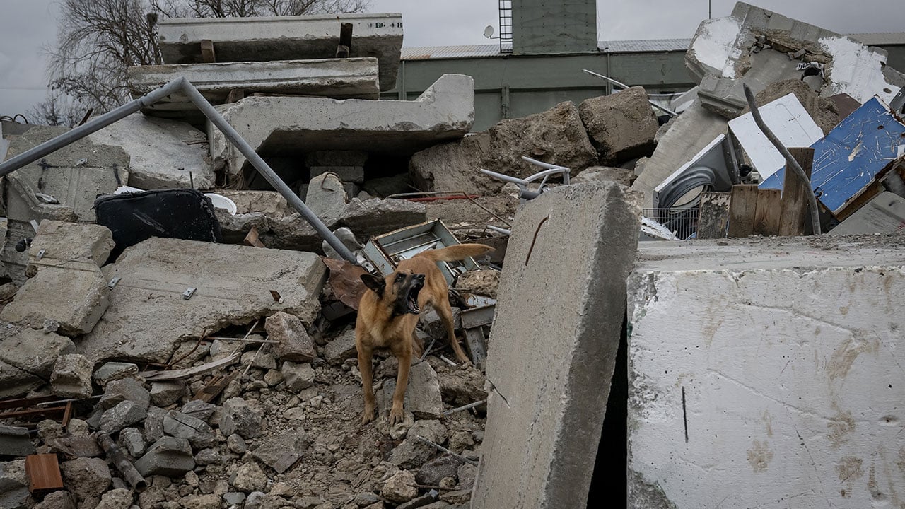 Foto - TSK İnsani Yardım Tugayı'ndan tatbikat