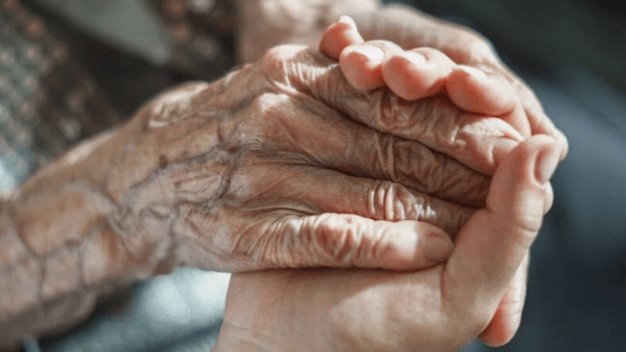 Foto - TÜİK açıkladı: En uzun yaşayanlar bu ilde!