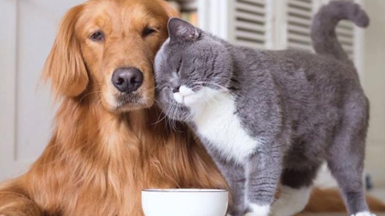 Foto - TÜİK açıkladı: Fiyatı en çok artan ürün belli oldu!