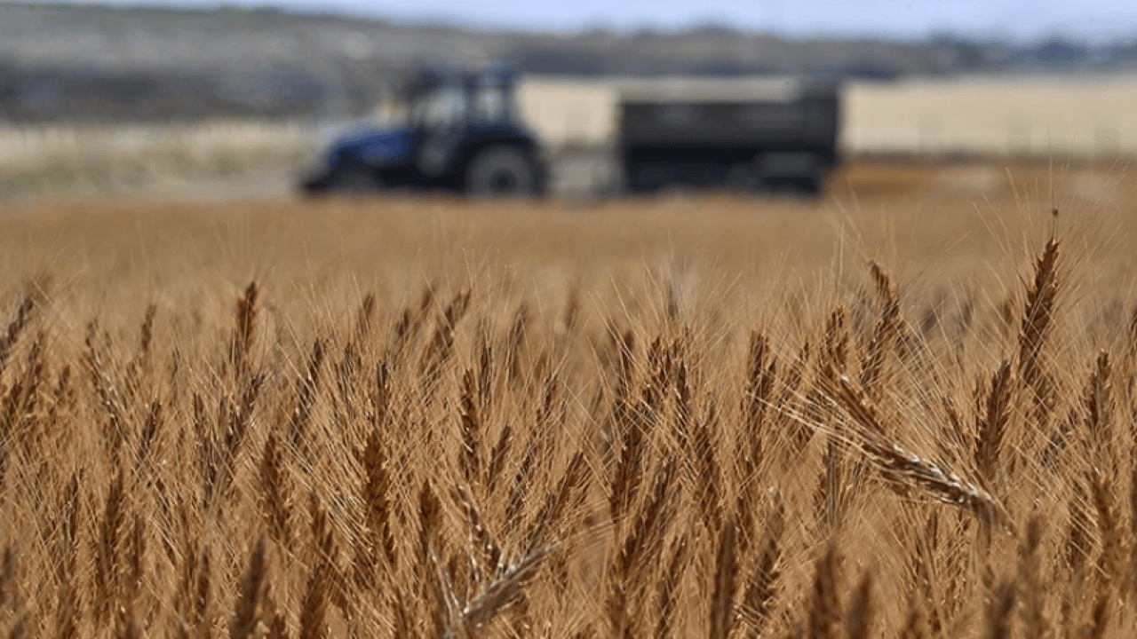 Foto - TÜİK duyurdu: Tarımsal girdi fiyatları Ekim'de %33,66 yükseldi!