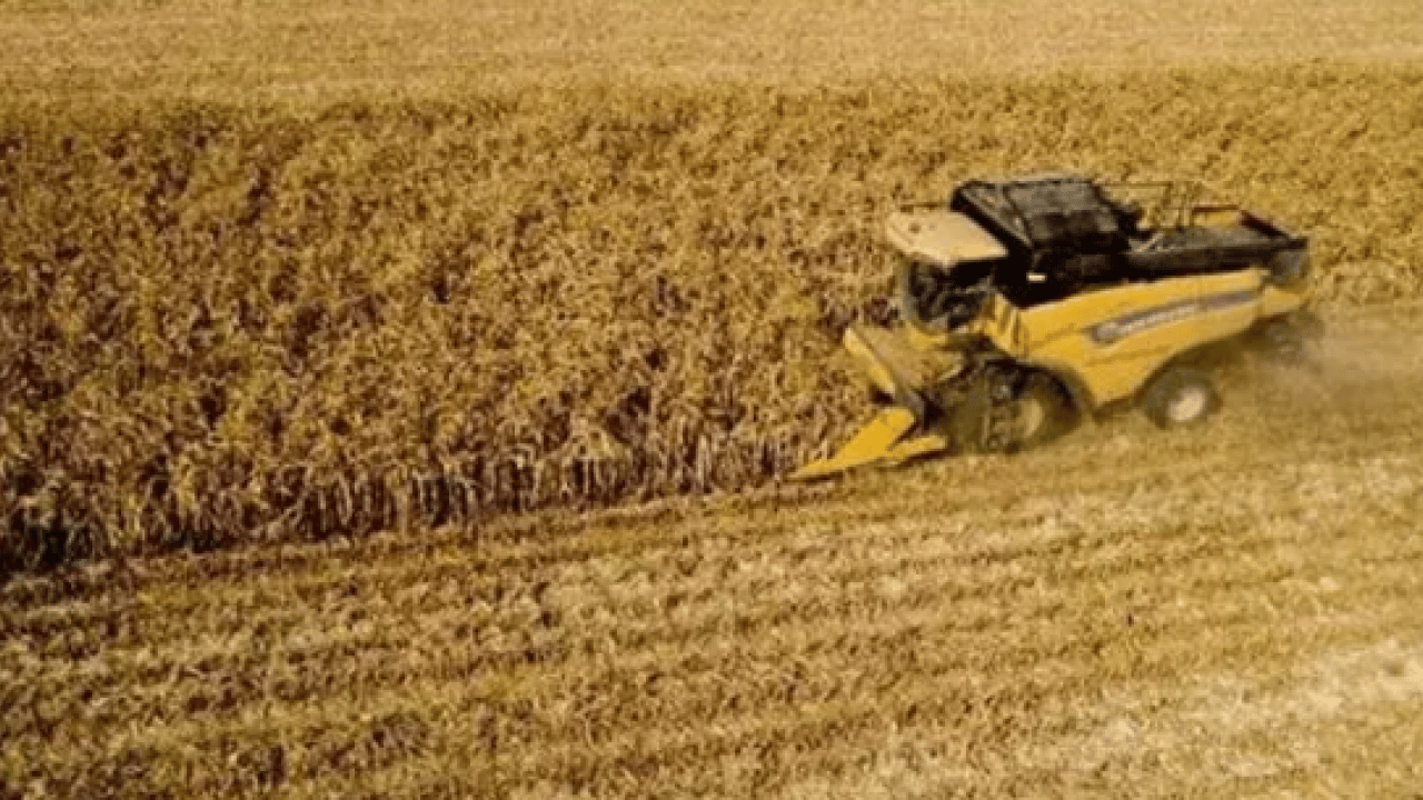 Foto - TÜİK duyurdu: Tarımsal girdi fiyatları Ekim'de %33,66 yükseldi!