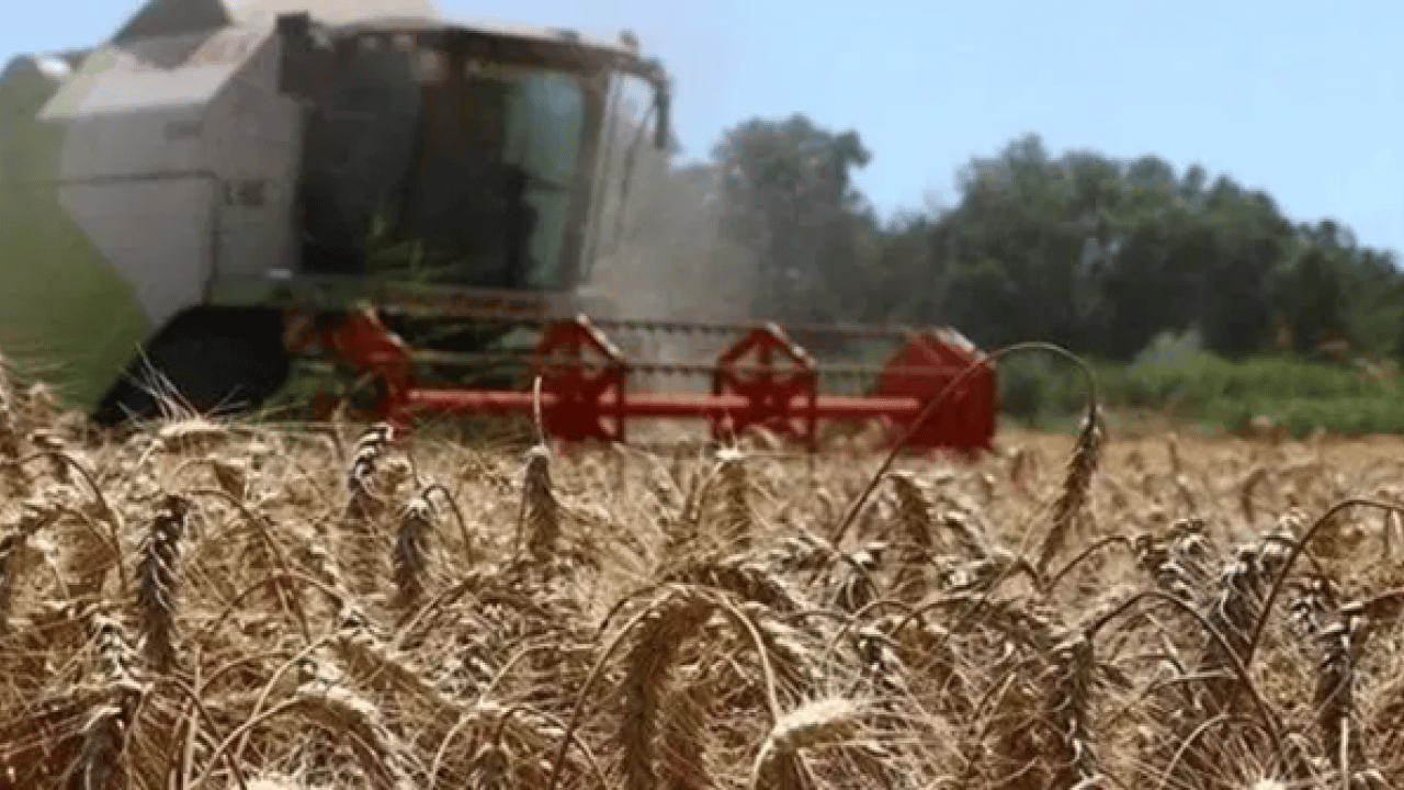 Foto - TÜİK duyurdu: Tarımsal girdi fiyatları Ekim'de %33,66 yükseldi!