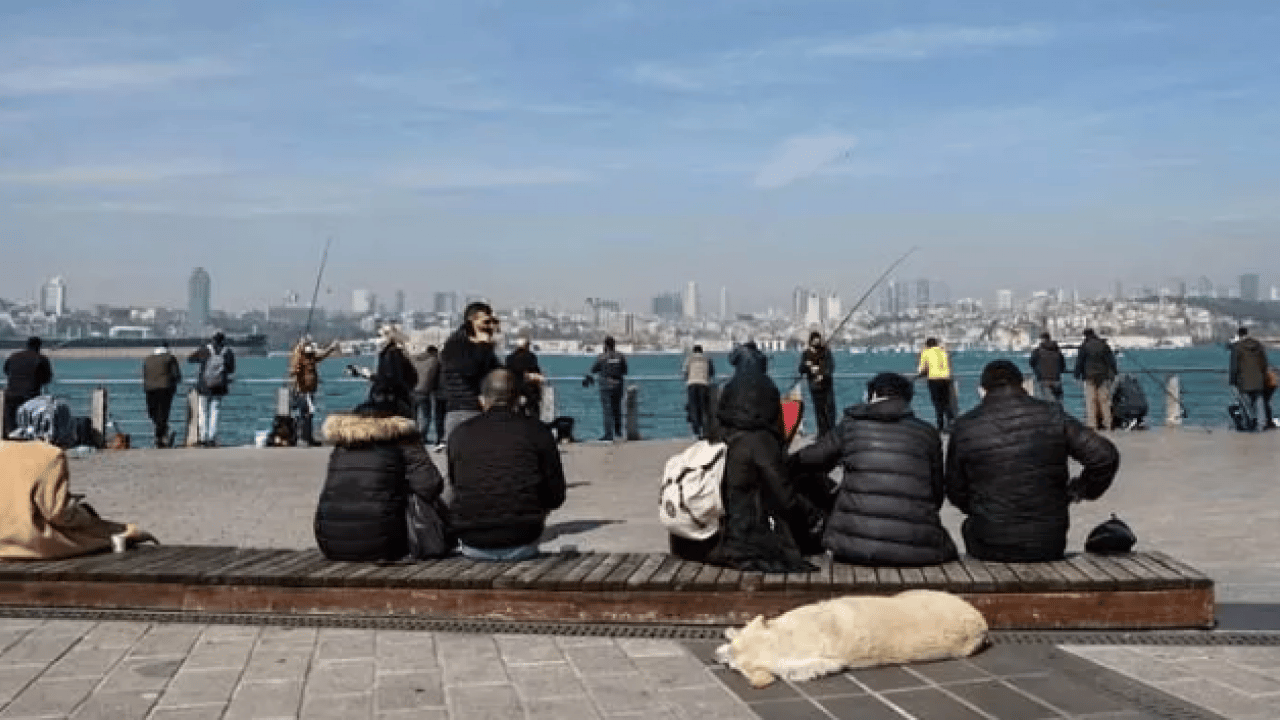 Foto - TÜİK şaşırtan istatistiği paylaştı: Kadınlar mı daha mutlu erkekler mi?