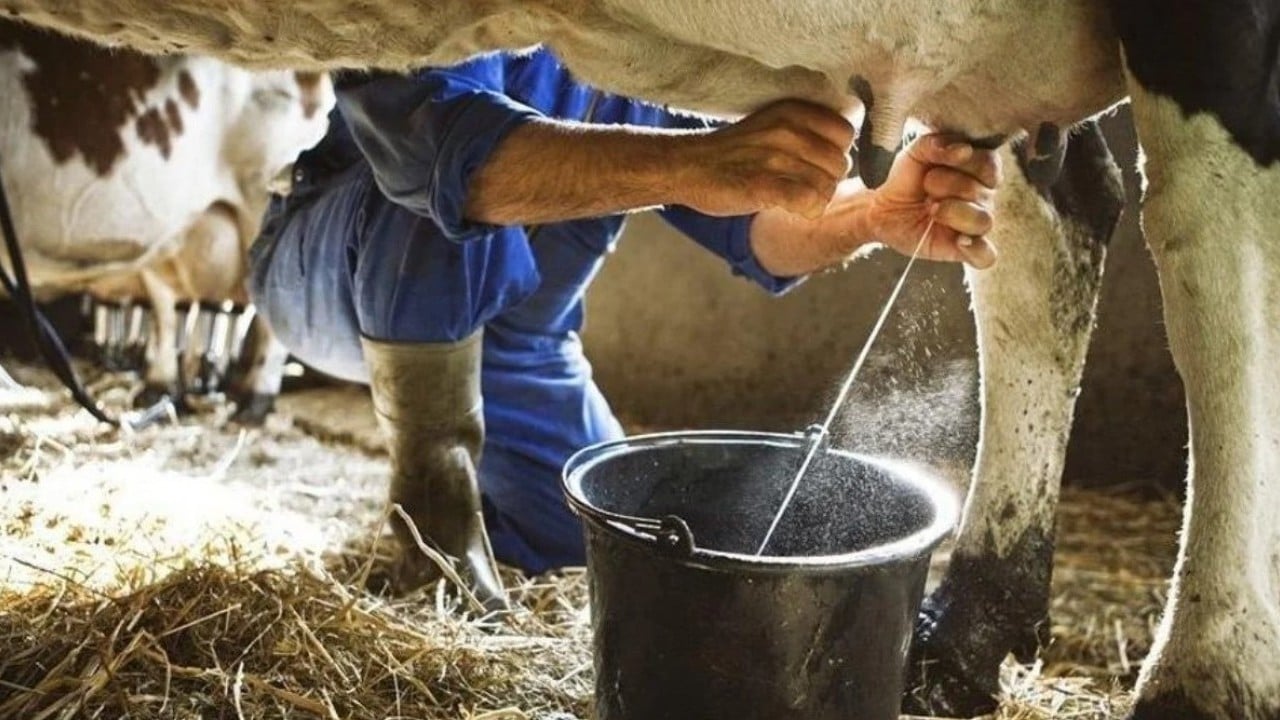 Foto - TÜİK son rakamları paylaştı! bu haber de ‘hayvanlık bitmiş bitmiş’ diyen palavracılara