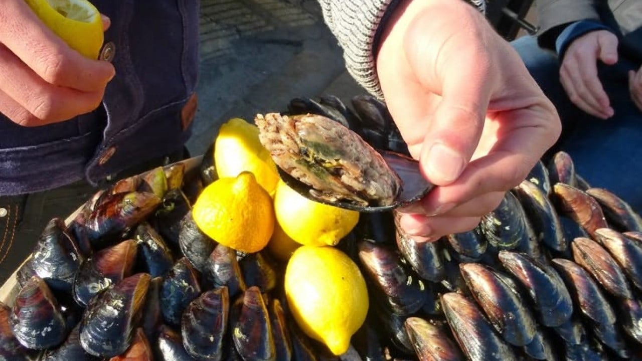 Foto - Tüketenler midyedeki zehir oranını bilse, yanından bile geçmez!