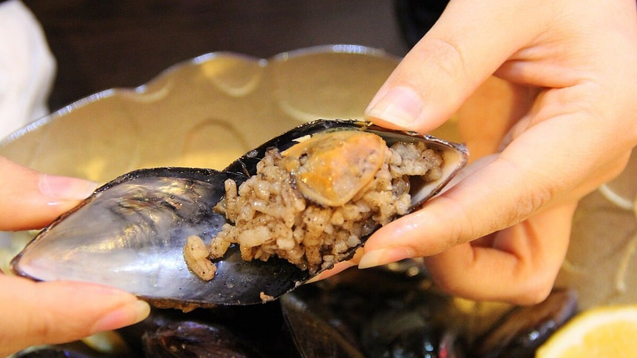 Foto - Tüketenler midyedeki zehir oranını bilse, yanından bile geçmez!