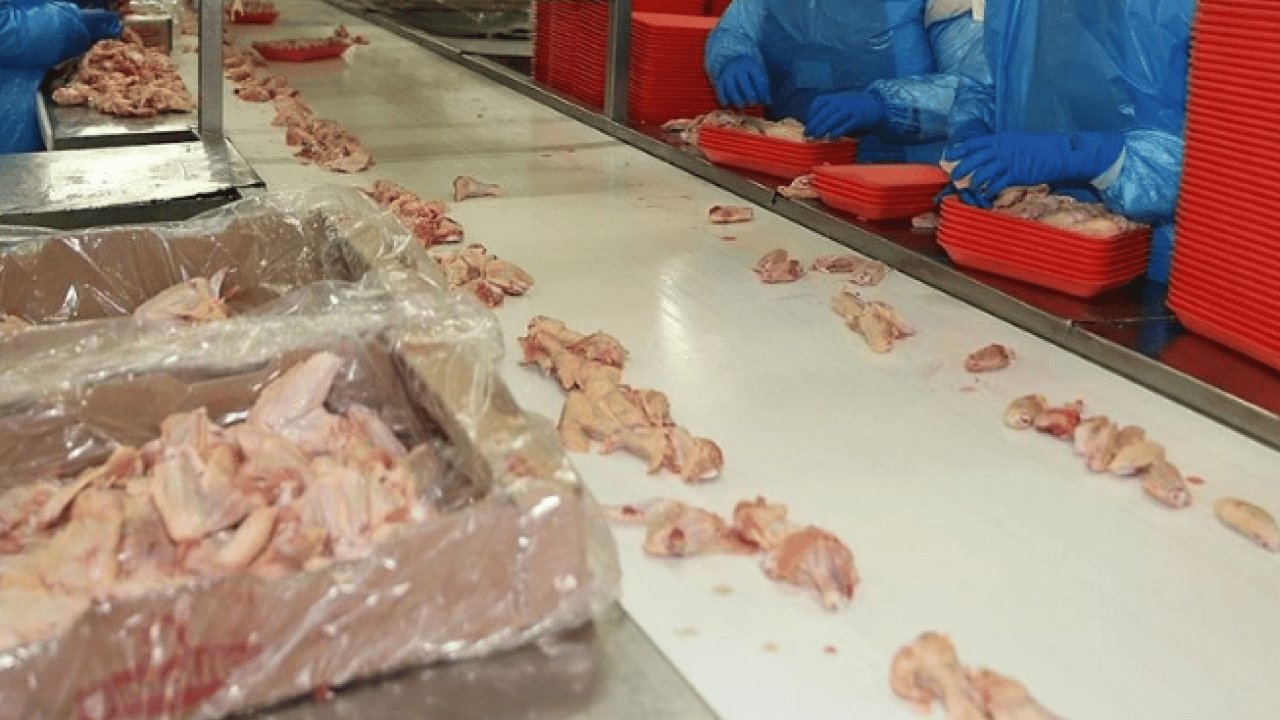 Foto - Tüketiciyi üzecek haber! Beyaz et fiyatlarına zam yolda