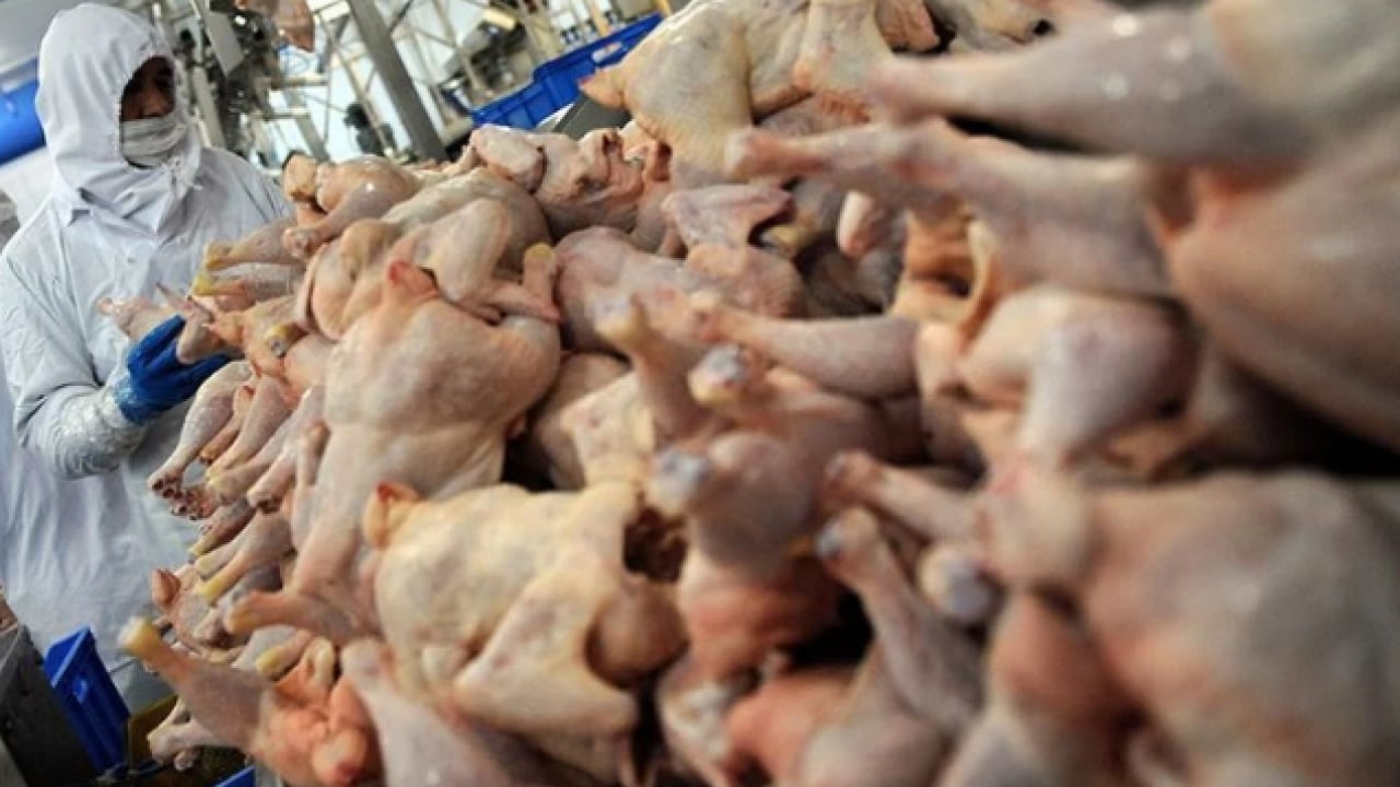 Foto - Tüketiciyi üzecek haber! Beyaz et fiyatlarına zam yolda