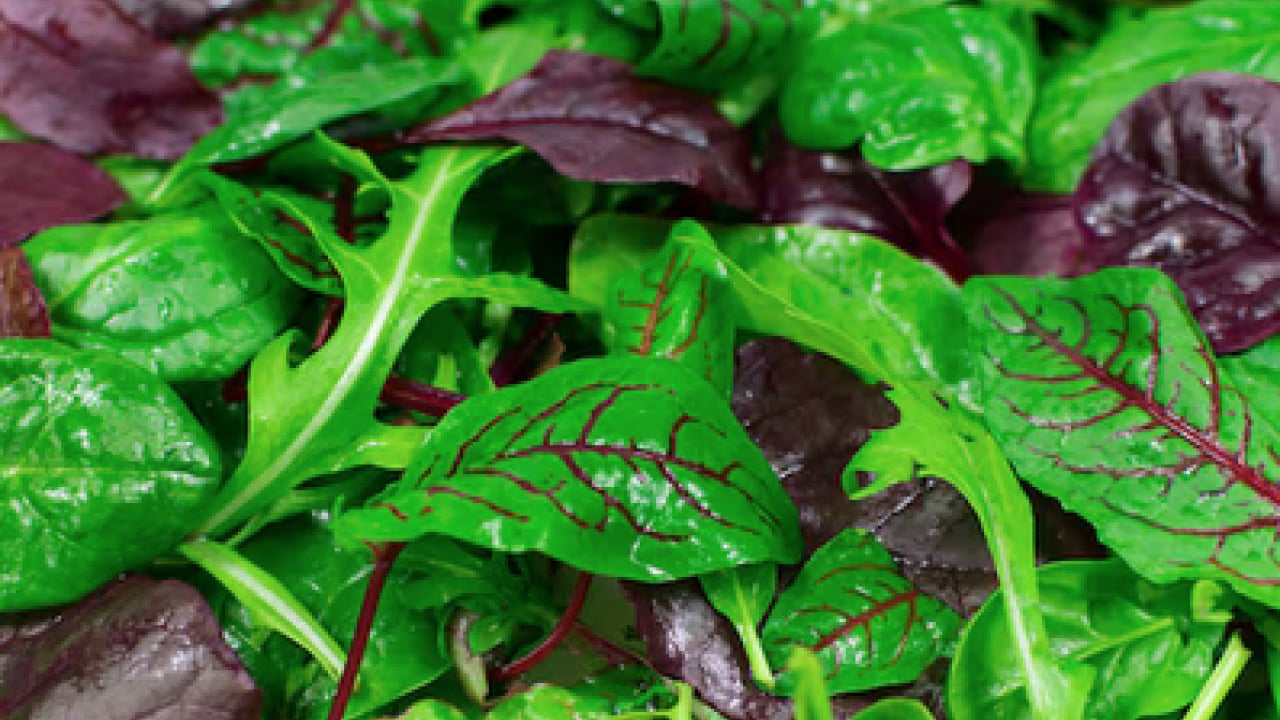 Foto - Tüketmeyen yanacak: Kadınların her gün tüketmesi önerilen 10 besin!