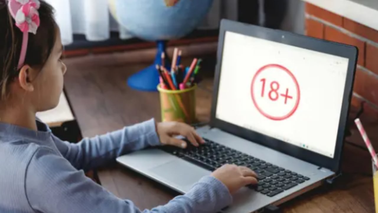 Foto - Tüm dünyada yayılıyor: Şimdi de Fransa yasakladı!