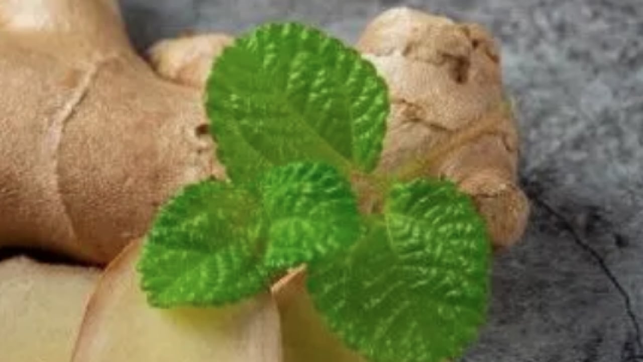 Foto - Tüm hastalıkları ürküten bitki ve baharat zencefilin faydaları saymakla bitmiyor...