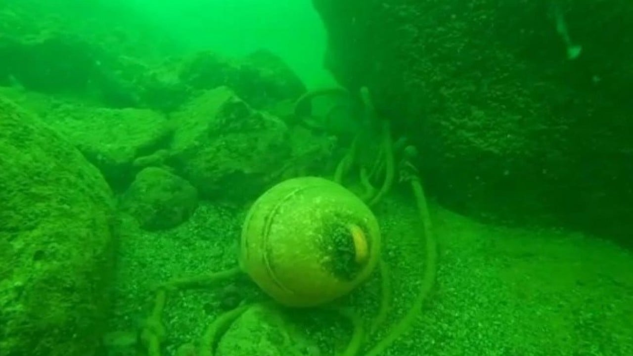 Foto - Tüm Karadeniz’i etkisi altına aldı! Sessiz tehlike binlerce canlıyı telef ediyor