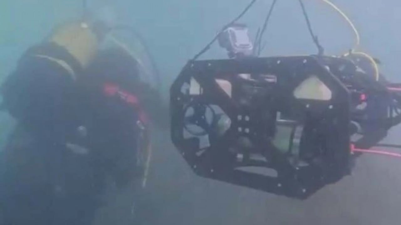 Foto - Tüm Karadeniz’i etkisi altına aldı! Sessiz tehlike binlerce canlıyı telef ediyor