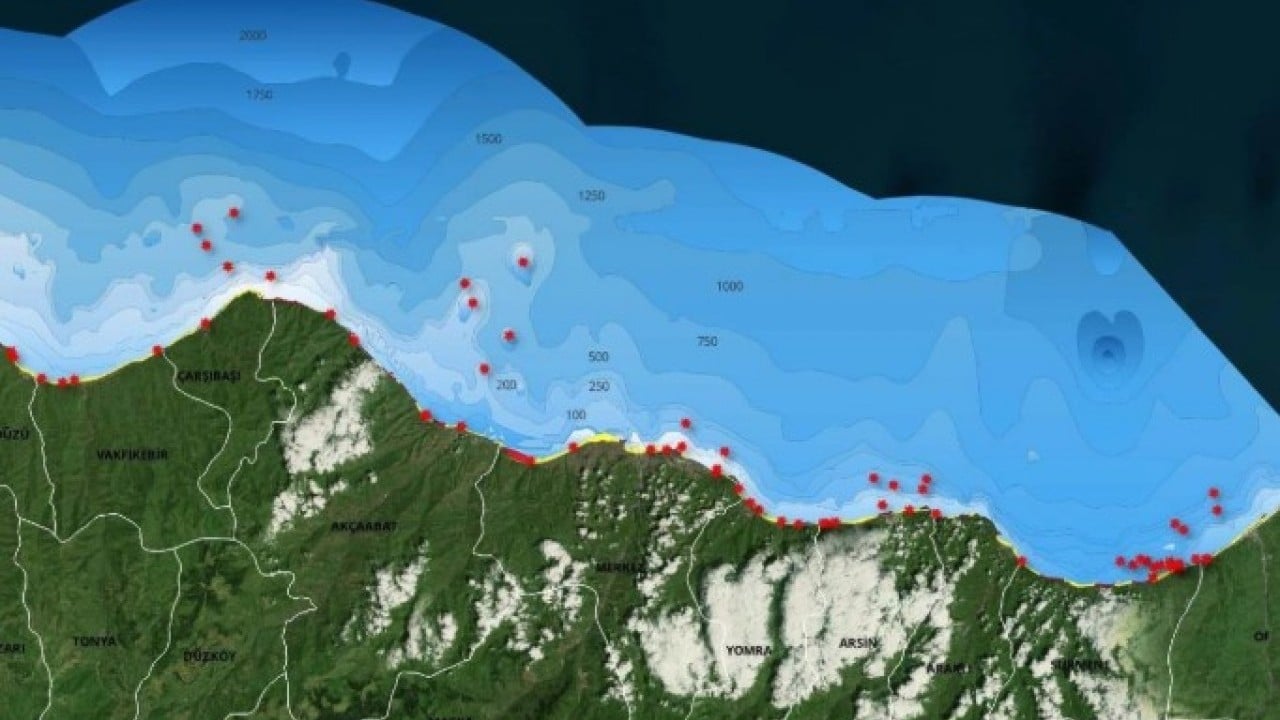Foto - Tüm Karadeniz’i etkisi altına aldı! Sessiz tehlike binlerce canlıyı telef ediyor