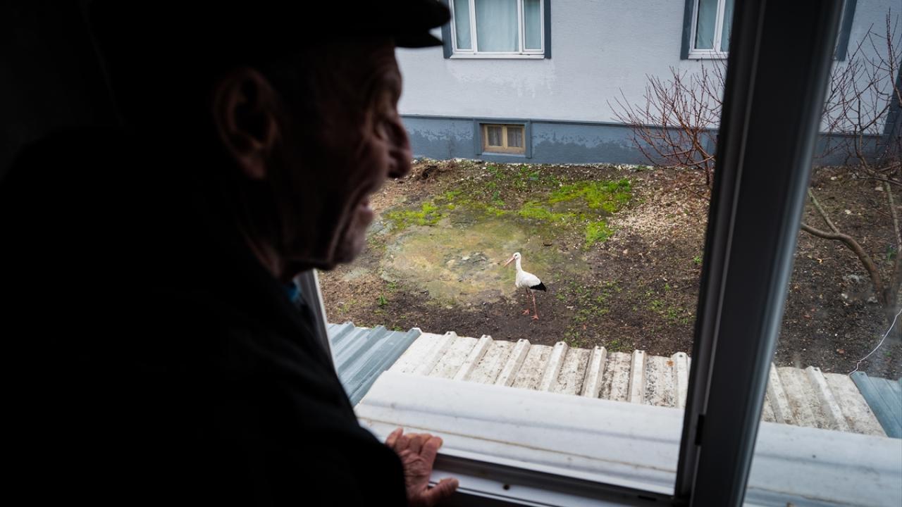 Foto - Tüm Türkiye merakla bekliyordu! Yaren Leylek 15. yılda da göçüp geldi