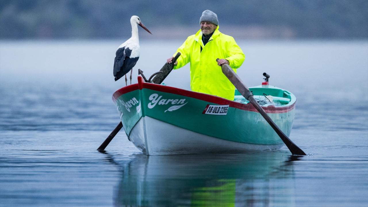 Tüm Türkiye merakla bekliyordu! Yaren Leylek 15. yılda da göçüp geldi