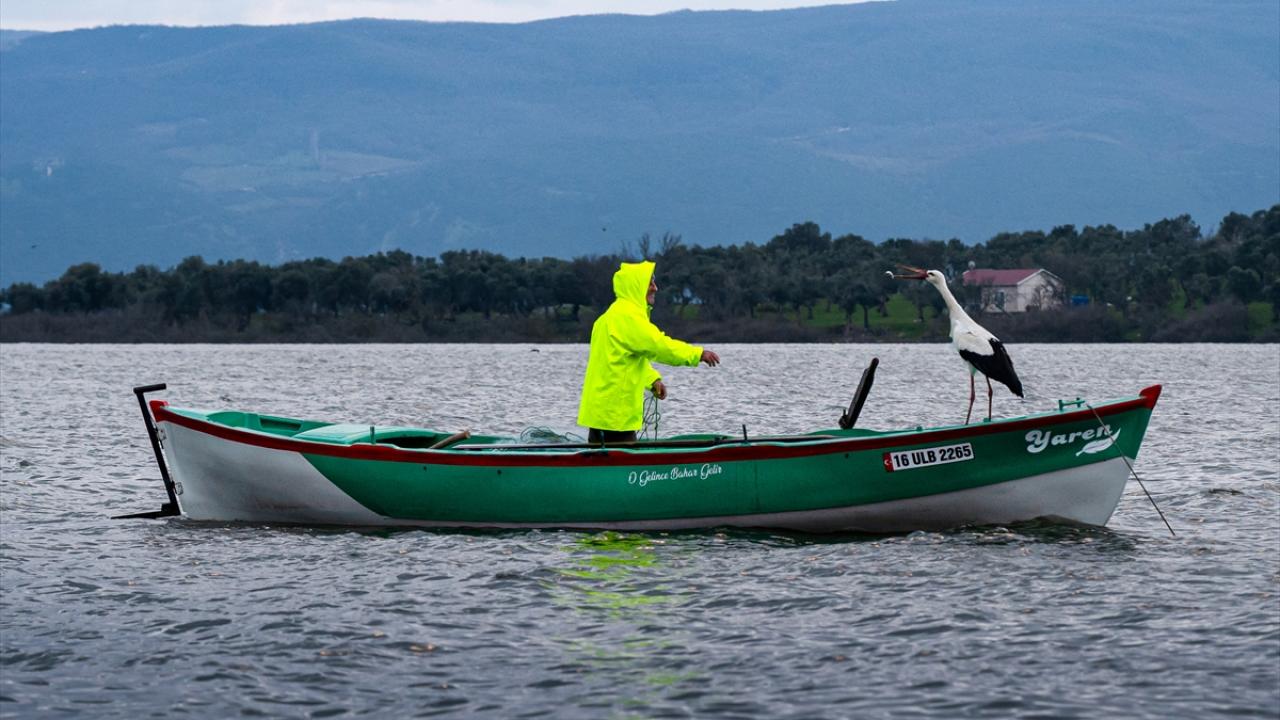 Foto - Tüm Türkiye merakla bekliyordu! Yaren Leylek 15. yılda da göçüp geldi