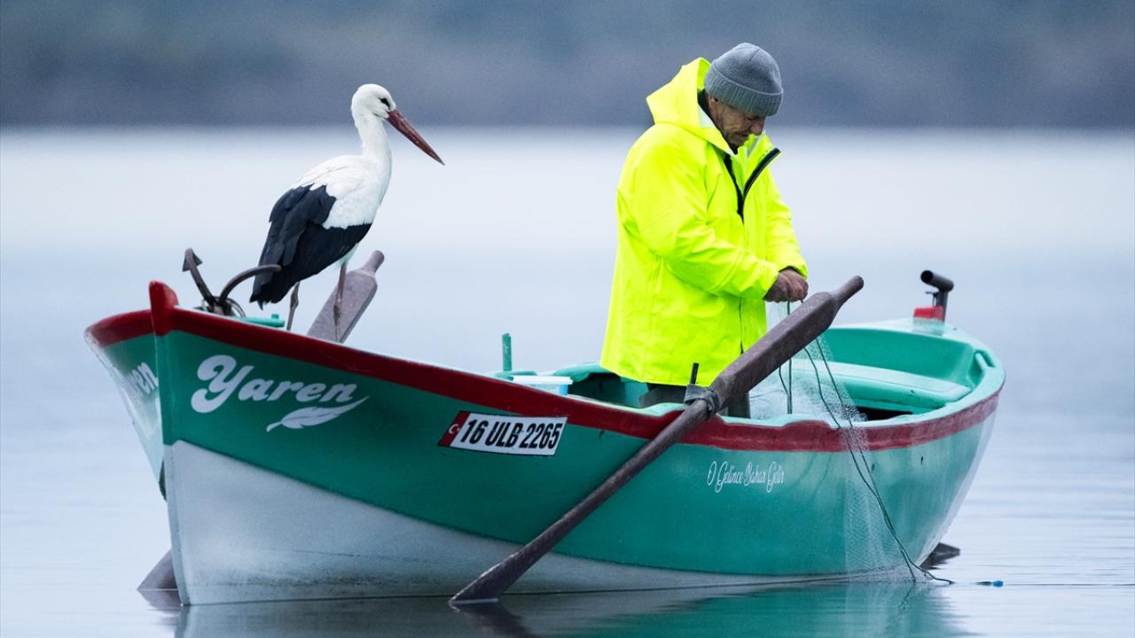 Foto - Tüm Türkiye merakla bekliyordu! Yaren Leylek 15. yılda da göçüp geldi