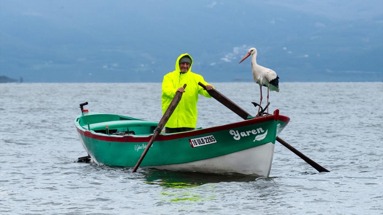 Foto - Tüm Türkiye merakla bekliyordu! Yaren Leylek 15. yılda da göçüp geldi