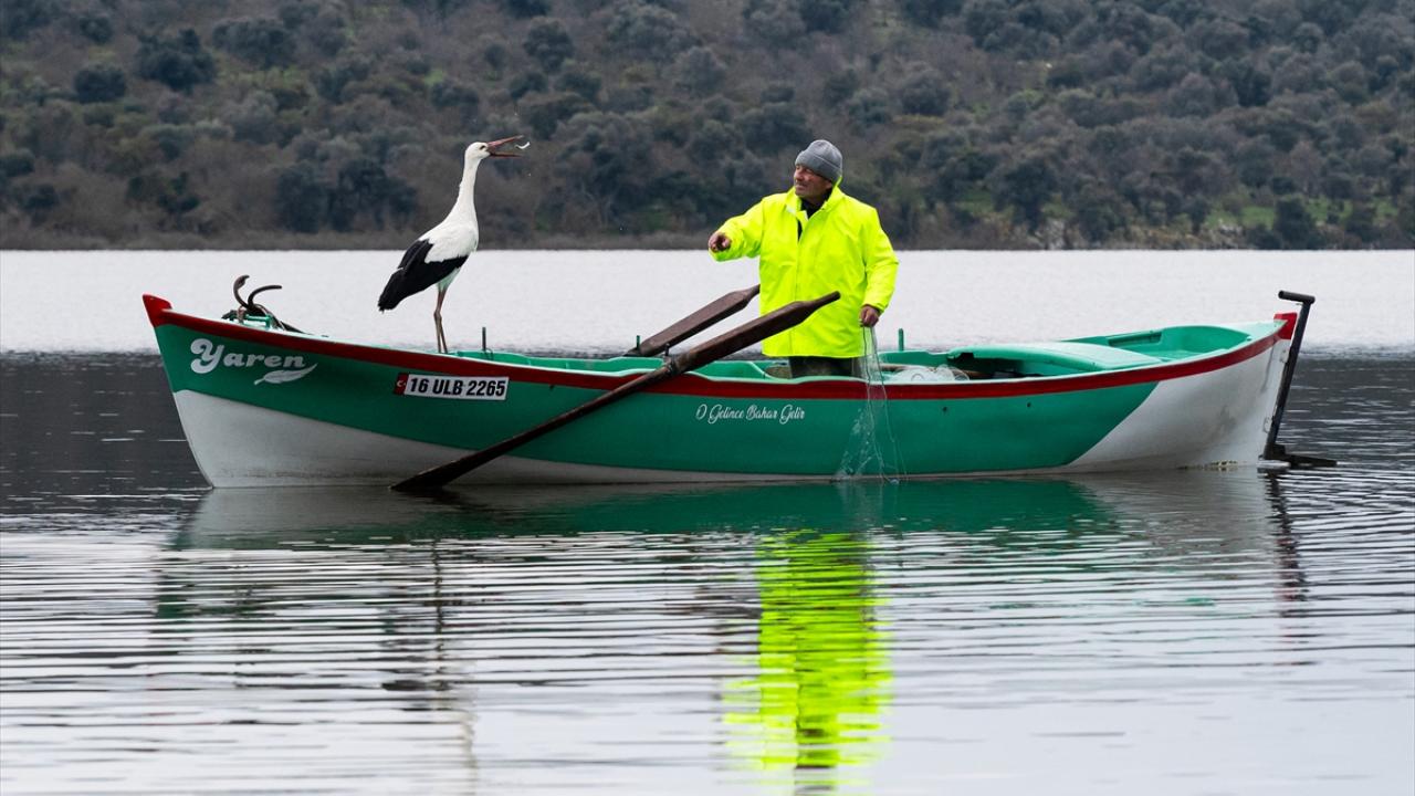 Foto - Tüm Türkiye merakla bekliyordu! Yaren Leylek 15. yılda da göçüp geldi