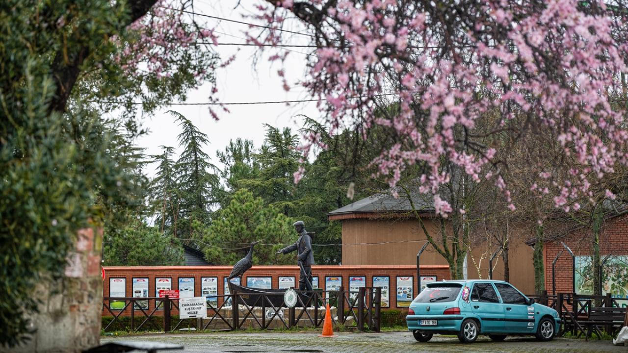 Foto - Tüm Türkiye merakla bekliyordu! Yaren Leylek 15. yılda da göçüp geldi