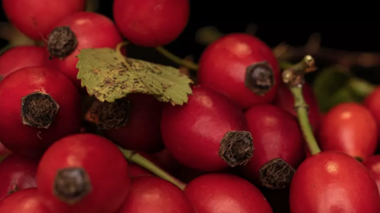 Foto - Tüm vücudu resetliyor... Etkisi tüm kış sürüyor! Vitamini fullüyor, bağışıklık sistemine derman oluyor