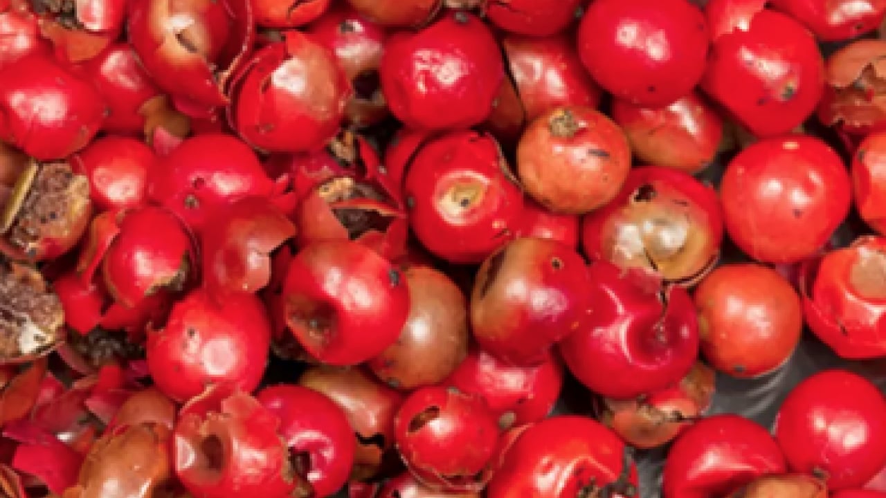 Foto - Tüm vücudu resetliyor... Etkisi tüm kış sürüyor! Vitamini fullüyor, bağışıklık sistemine derman oluyor