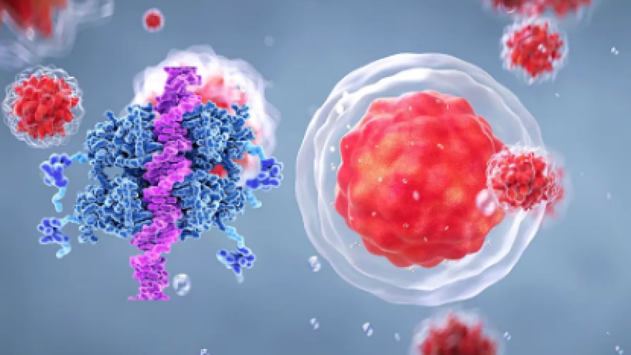 Foto - Tümöre ait DNA parçaları... Likit biyopsi kanser takibinde tedavi sürecinin izlenmesine katkı sağlıyor