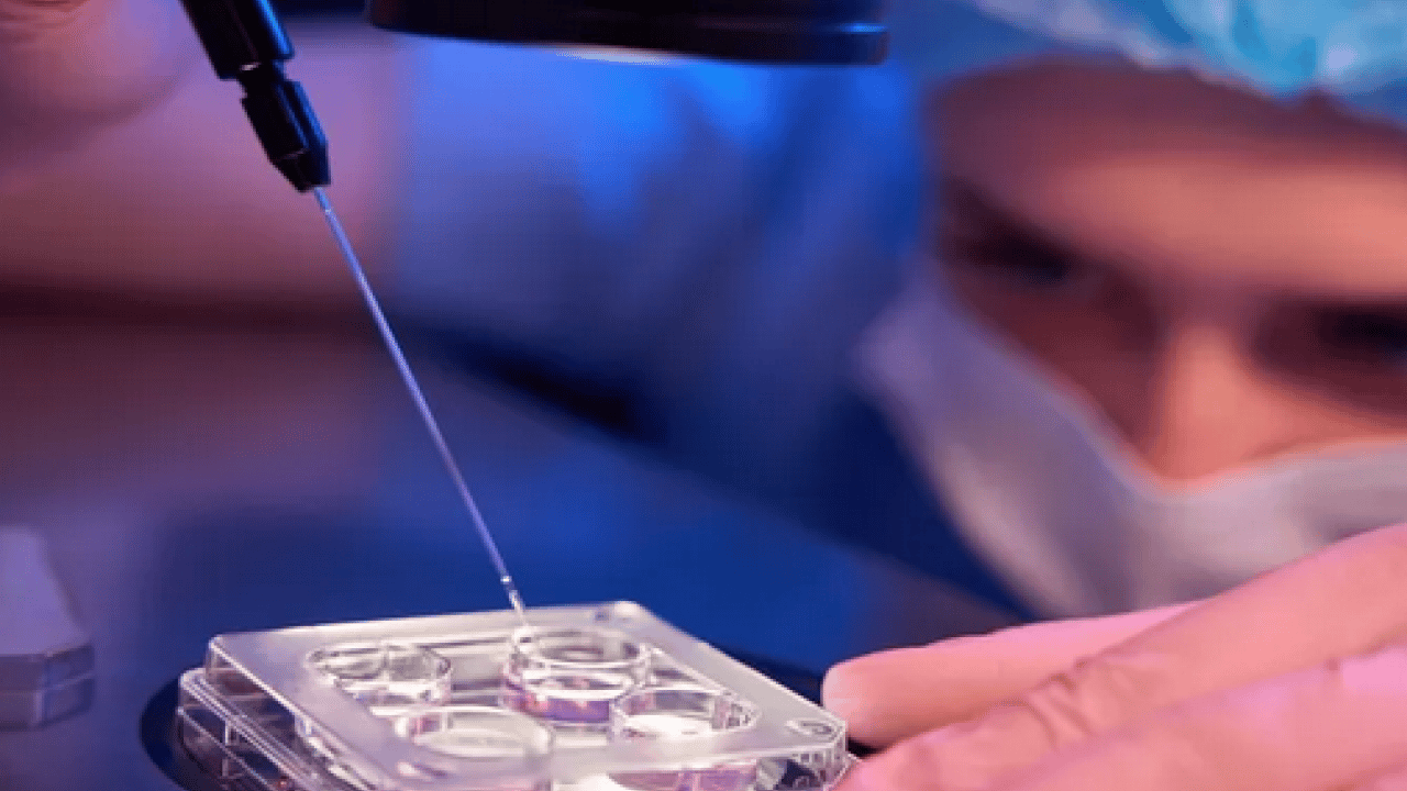 Foto - Tümöre ait DNA parçaları... Likit biyopsi kanser takibinde tedavi sürecinin izlenmesine katkı sağlıyor