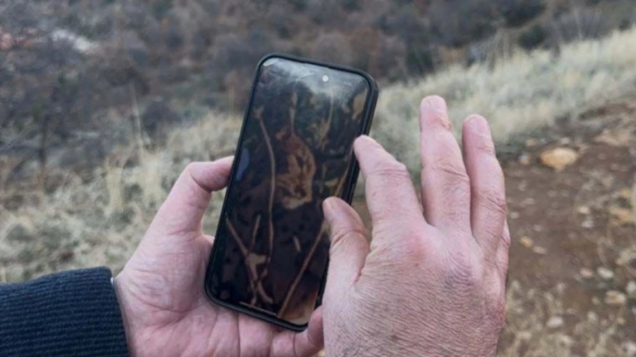Foto - Tunceli kırsalında ortaya çıktı! Çok ender rastlanan bir tür