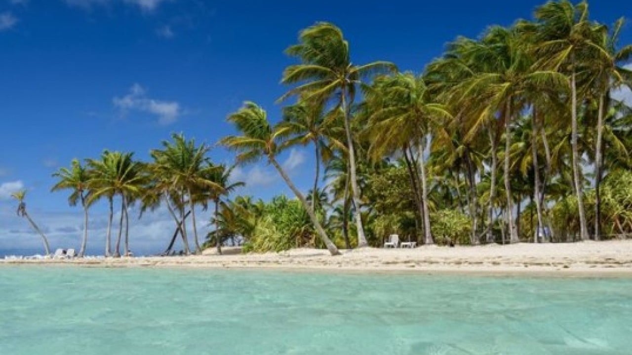 Tur gemisinde akılalmaz olay: Yaşlı kadını adada unuttular!