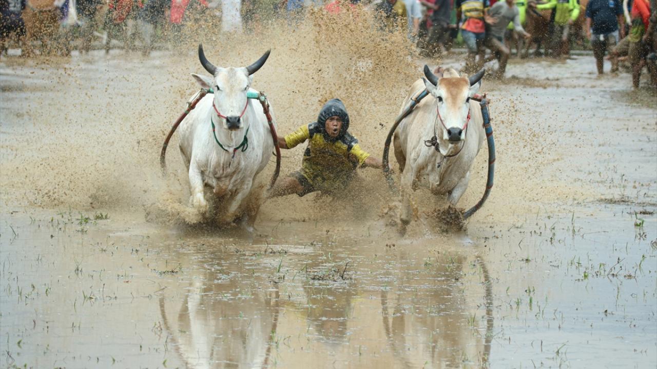 Foto - Turistler büyük ilgi gösteriyor! Ramazan kutlamaları kapsamında yapılıyor