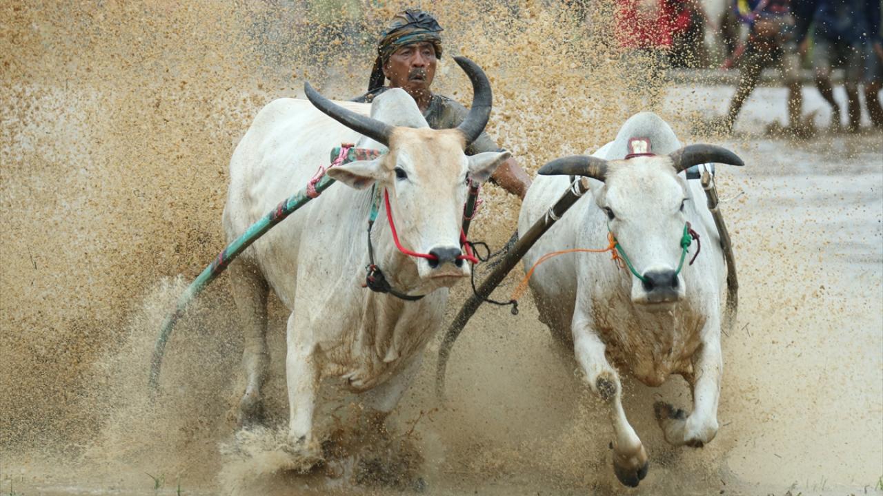 Foto - Turistler büyük ilgi gösteriyor! Ramazan kutlamaları kapsamında yapılıyor