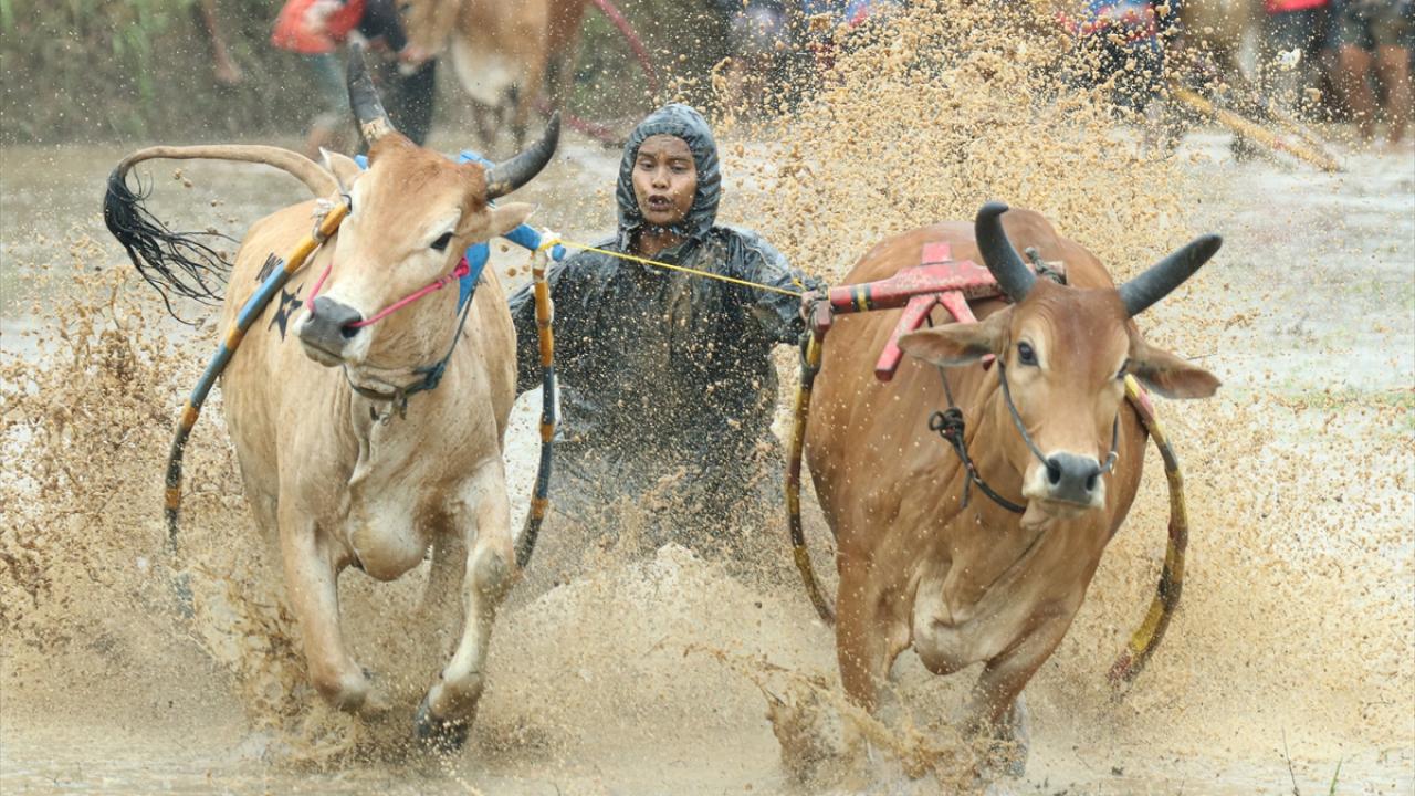 Turistler büyük ilgi gösteriyor! Ramazan kutlamaları kapsamında yapılıyor