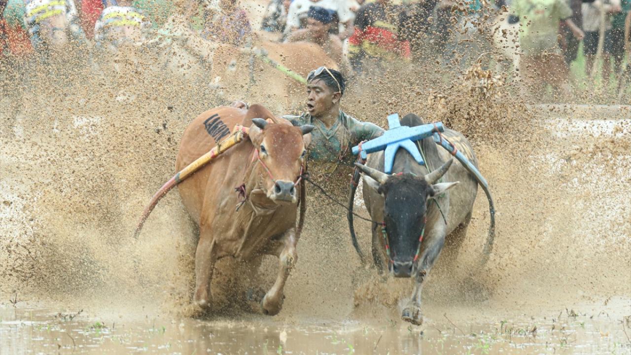 Foto - Turistler büyük ilgi gösteriyor! Ramazan kutlamaları kapsamında yapılıyor