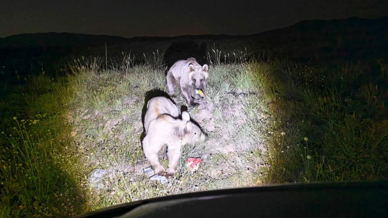 Foto - Turistlerin bıraktığı çöplere akın ettiler! Nemrut Kalderası’nda tehlike büyüyor