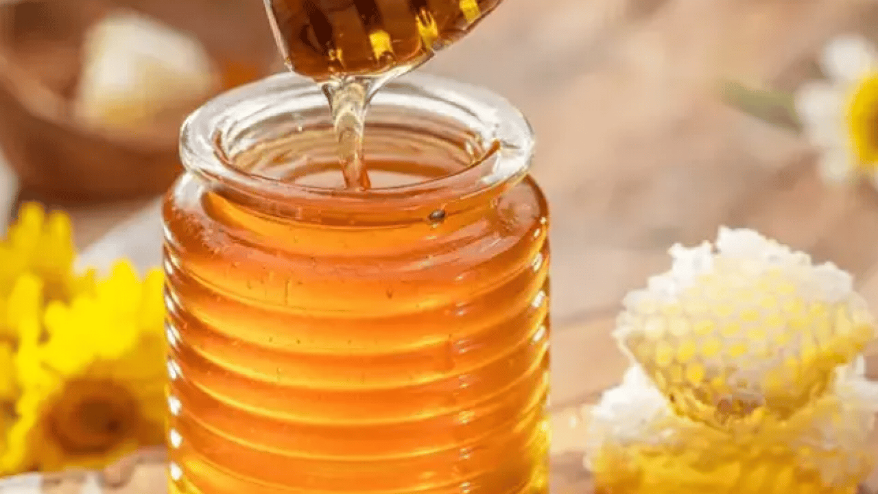 Foto - Türk balı 51 ülkeye tat kattı: İhracat 33,5 milyon doları aştı!