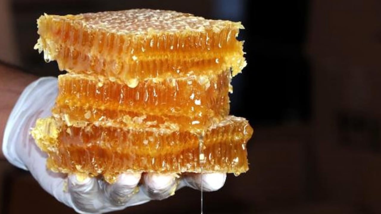 Foto - Türk balı 51 ülkeye tat kattı: İhracat 33,5 milyon doları aştı!