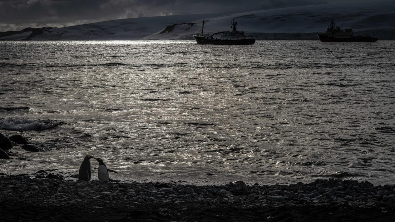 Foto - Türk bilim ekibi, Antarktika’ya ulaştı! Beyaz Kıta’da faaliyete başladılar