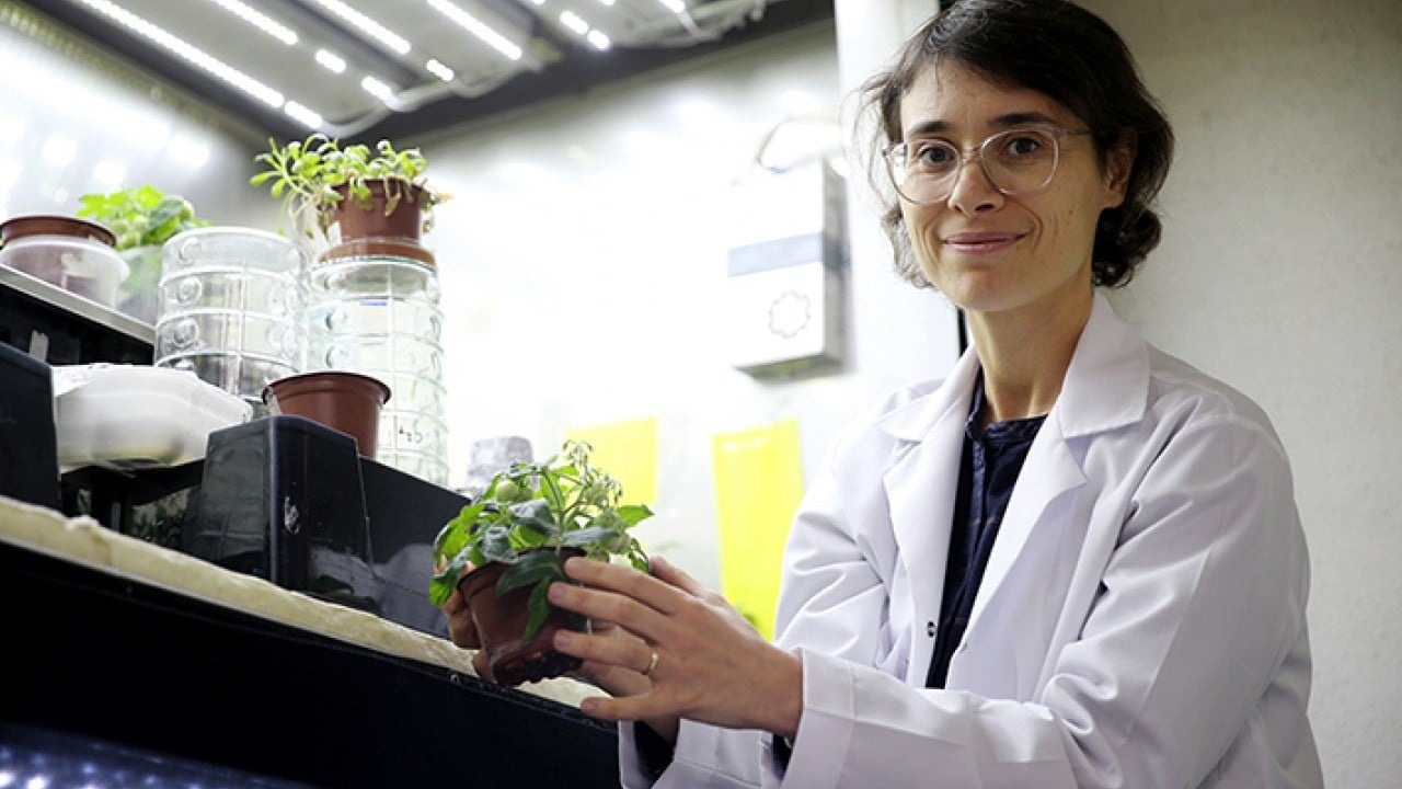Foto - Türk bilim insanlar başardı Ay ve mars toprağında domates