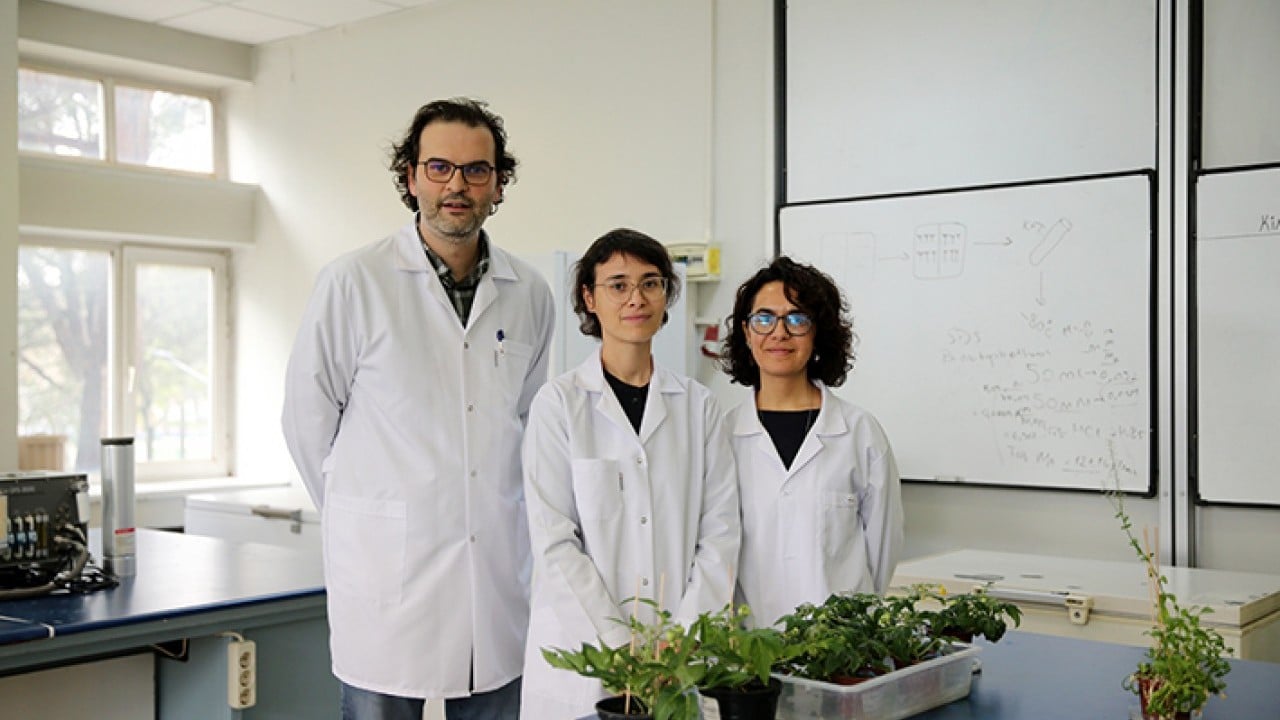 Türk bilim insanlar başardı Ay ve mars toprağında domates